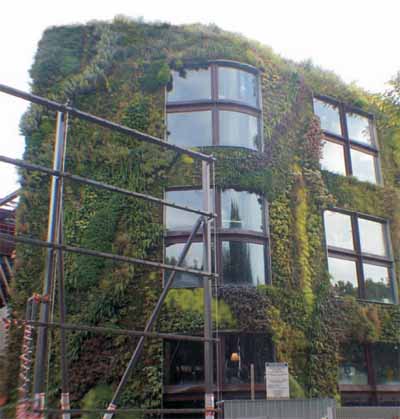 Ściana z zielonych paneli