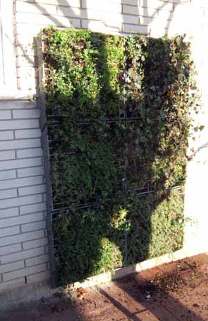 Ściana z zielonych paneli