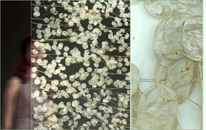 Rośliny zatopione w panelu akrylowo-żywicowym