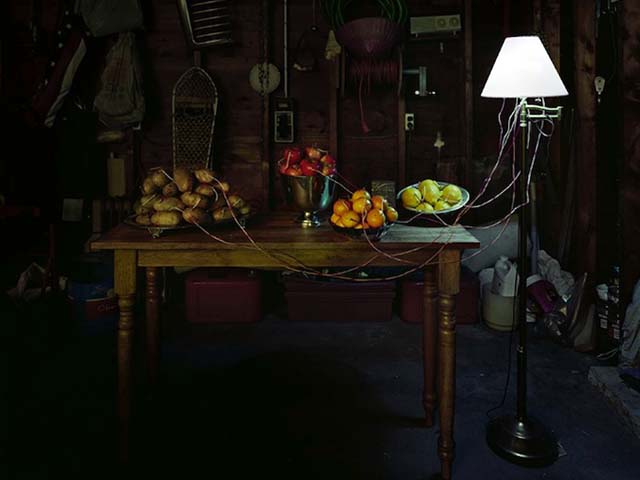 Lampa z owoców i warzyw