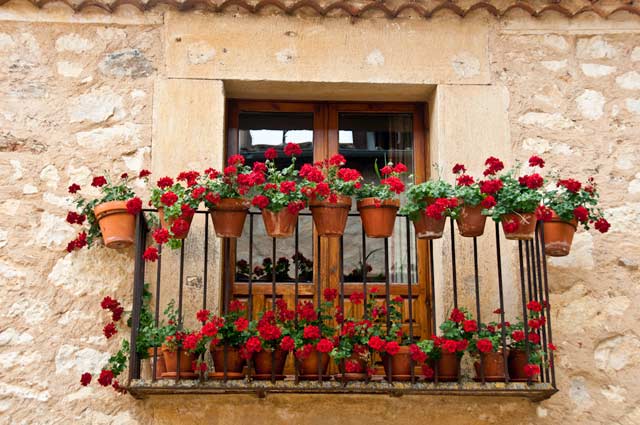 Balkon czerwone kwiaty