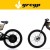 Elektryczny motorower Greyp